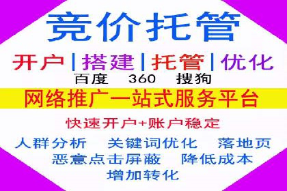 百度推广的成功案例：从零到一的突破